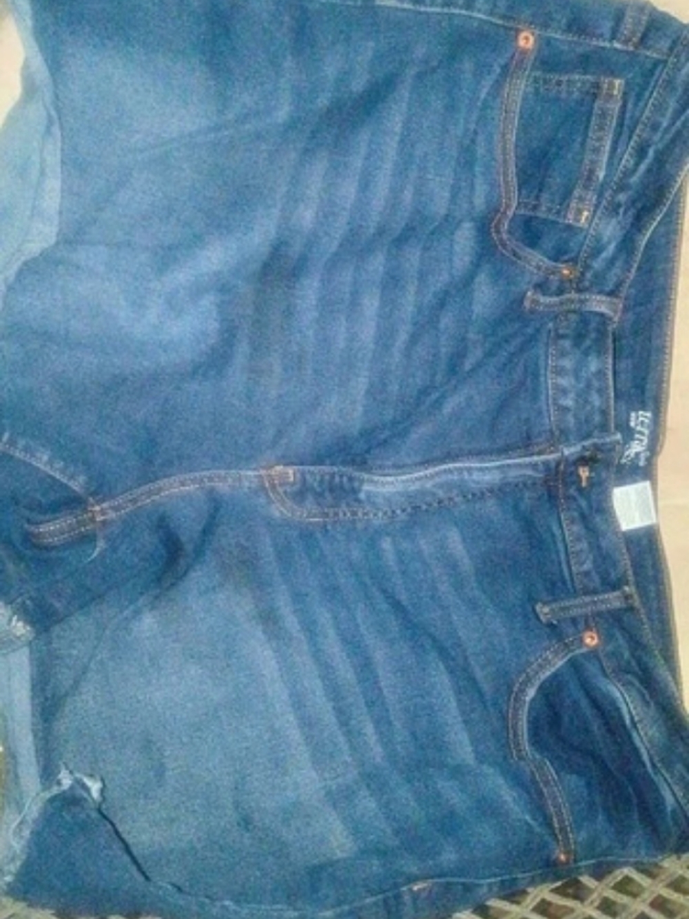 Terra & Sky Blue Jeans Shorts Plus